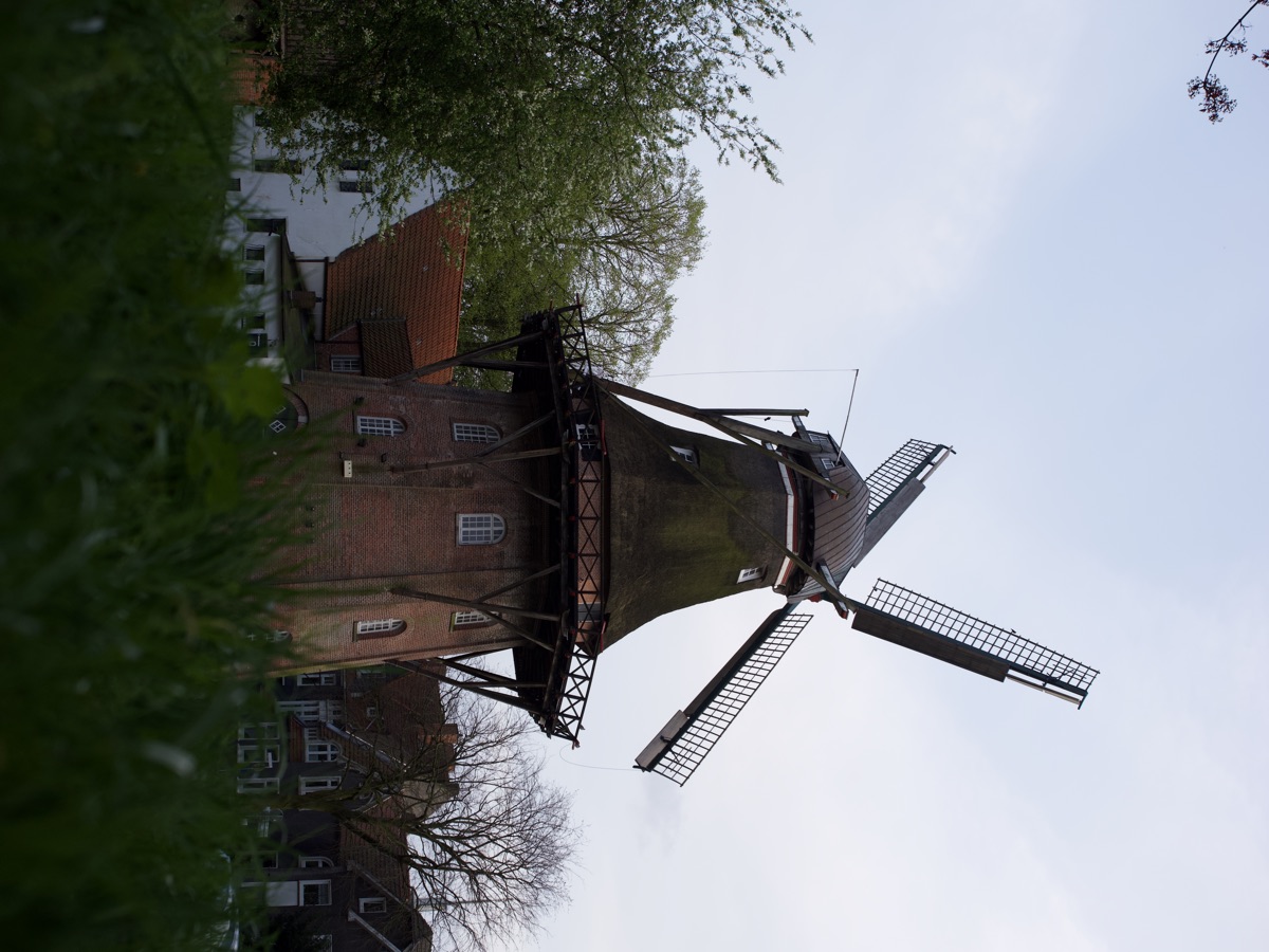 Die Mühle im Abendlicht mit glänzender Kappe