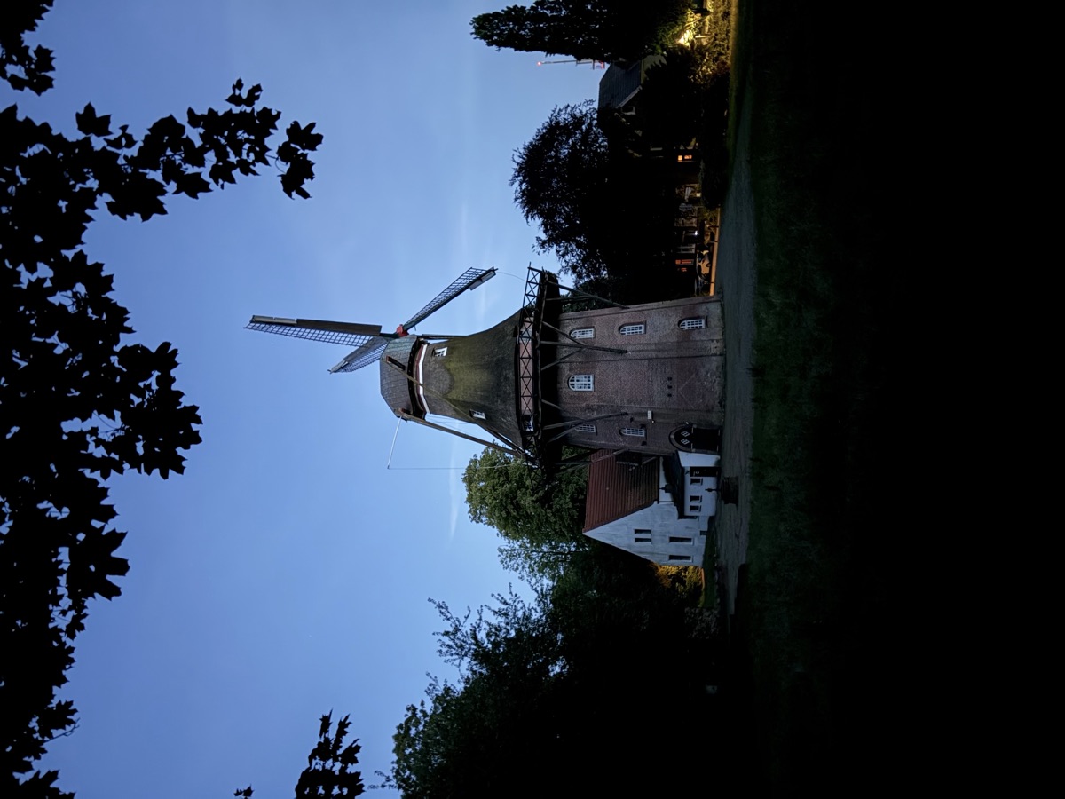 Die Mühle zur blauen Stunde unter Blätterdach
