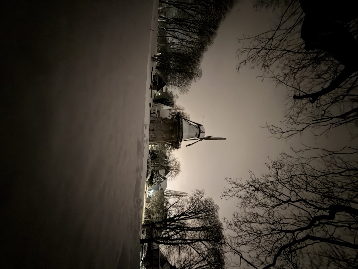 Die Mühle in einer Schneenacht, von kahlen Bäumen gerahmt